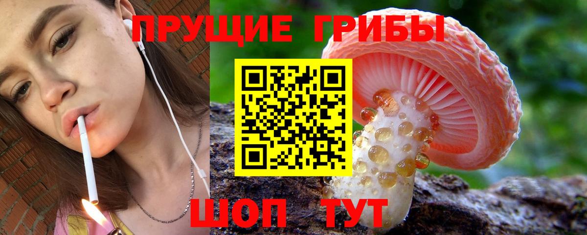 Галлюциногенные грибы MAGIC MUSHROOMS Новоалександровск